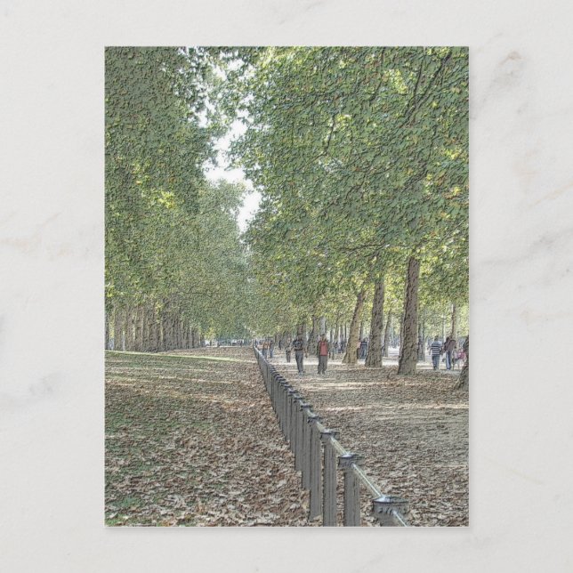Carte Postale St Jame's Park (Devant)
