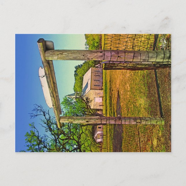 Carte Postale St. John's Lutheran Church, Crabapple, TX (Devant)