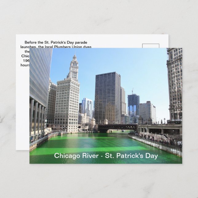 Carte Postale St. Patrick's Day Chicago's Green River Fun Facts (Devant / Derrière)