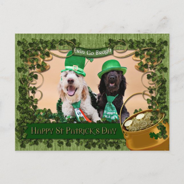 Carte Postale St Pats Day - Golden Doodles - Sadie et Izzie (Devant)