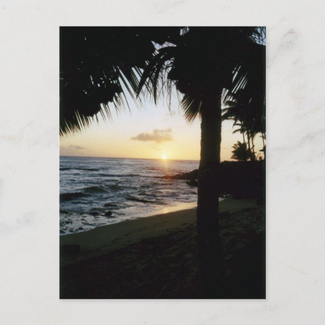 Carte Postale St. Thomas Beach Sunset Postcard (Devant)