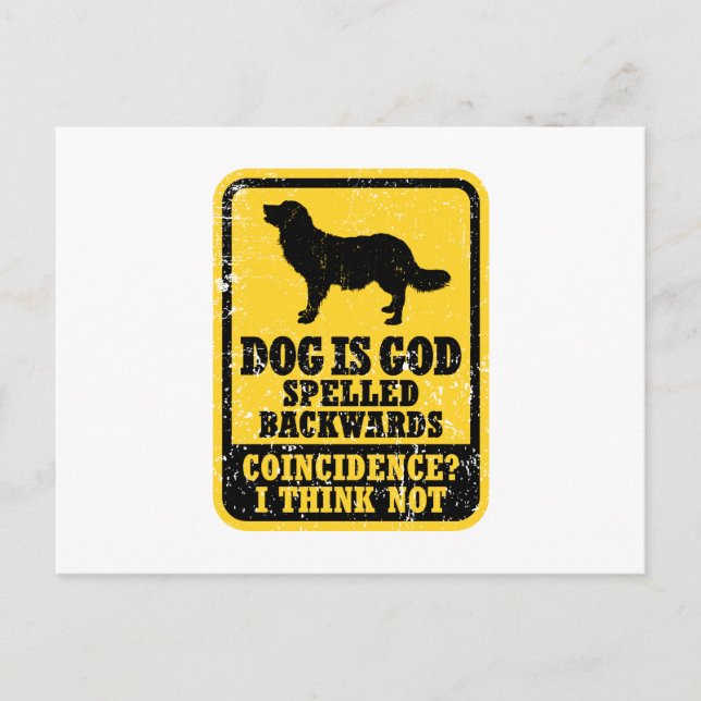 Carte Postale Stabyhoun (Devant)