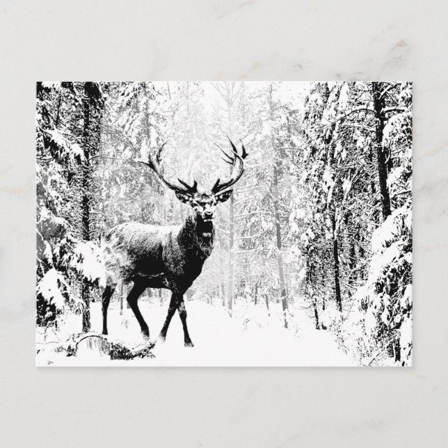 Carte Postale Stade Deer Forêt d'hiver Faune Animal Nature Art (Devant)