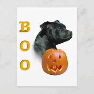 Carte Postale Staffordshire Bull Terrier Boo