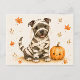 Carte Postale Staffordshire Bull Terrier Momie Halloween