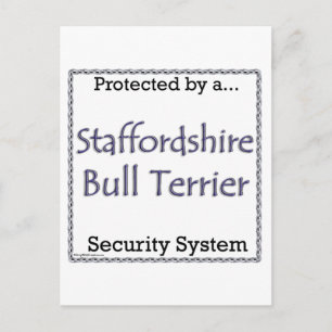 Carte Postale Staffordshire Bull Terrier Système de Sécurité