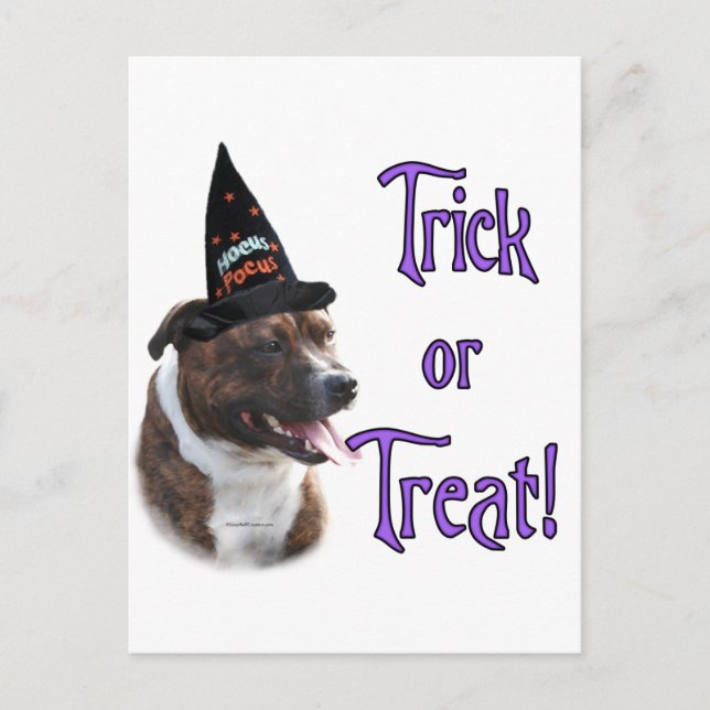 Carte Postale Staffordshire Bull Terrier Trick (Devant)