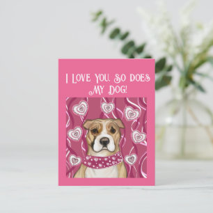 CARTE POSTALE STAFFORDSHIRE TERRIER AMÉRICAIN