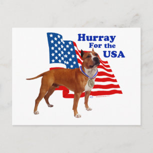 Carte Postale Staffordshire Terrier américain États-Unis