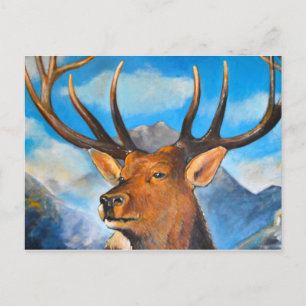 Carte Postale Stags Respire.