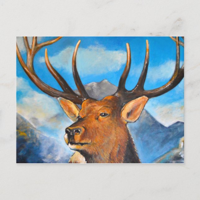 Carte Postale Stags Respire. (Devant)