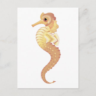 Carte Postale Stallion de la mer Rouge