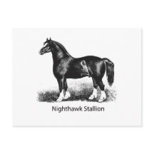 Stallion de nuitProduit sélectionné Plusieurs