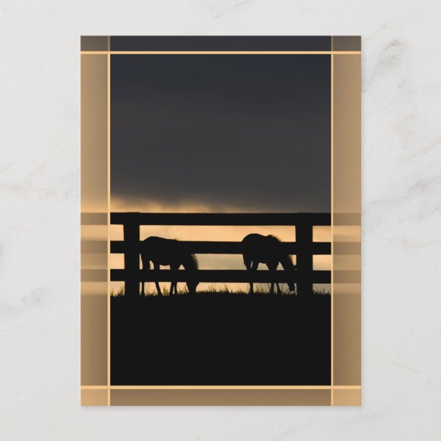 Carte Postale Stallion Farm Vertical (Devant)