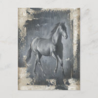 Stallion noir
