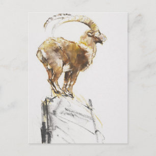 Carte Postale Stambecco d'Oro 2005