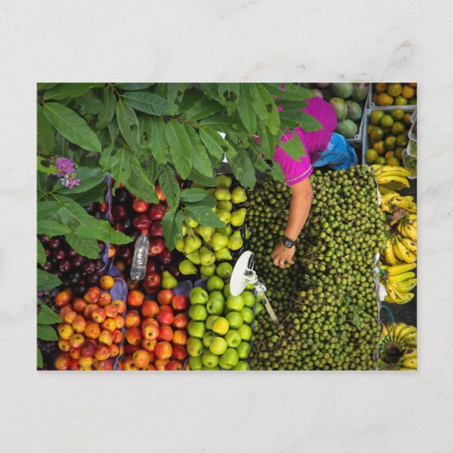 Carte Postale stand de fruits, Medellin, Colombie, 2013 (Devant)