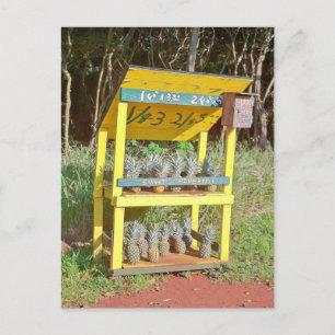 Carte Postale Stand de Maui Sweet Pineapple