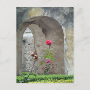 Carte postale Stand Tall