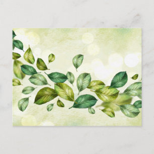 Carte postale standard