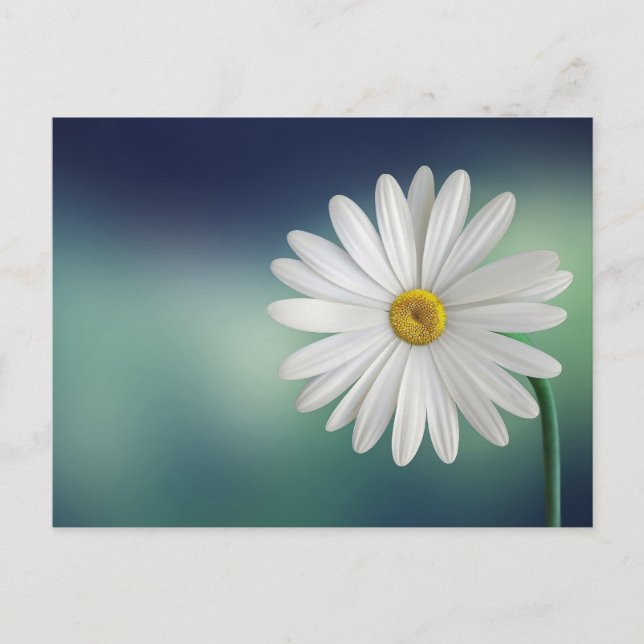 Carte postale standard (Devant)