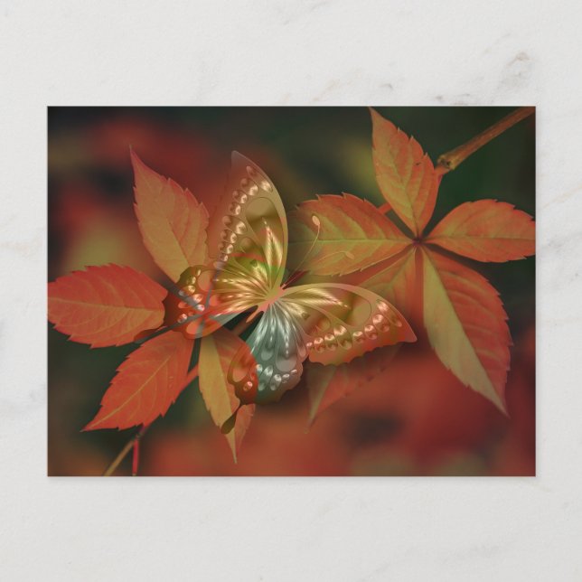 Carte postale standard (Devant)