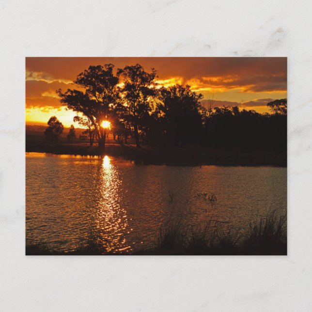 Carte postale standard (Devant)
