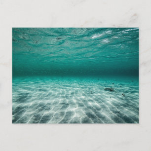 Carte postale standard
