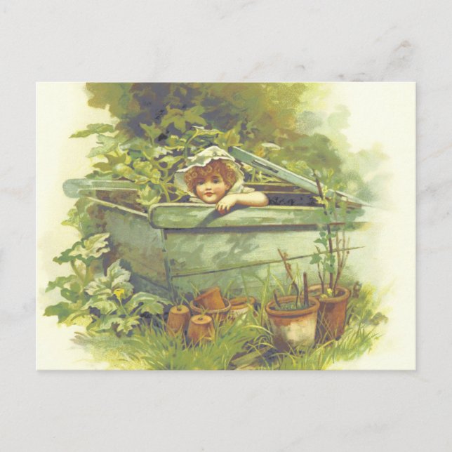 Carte postale standard (Devant)