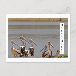 Carte postale standard