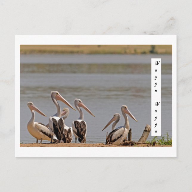 Carte postale standard (Devant)