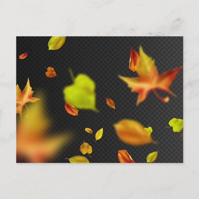 Carte postale standard (Devant)