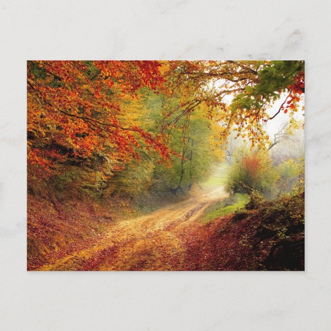 Carte postale standard (Devant)
