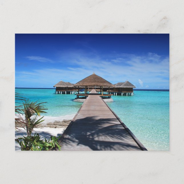 Carte postale standard (Devant)