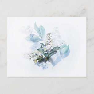 Carte postale standard