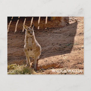 Carte postale standard