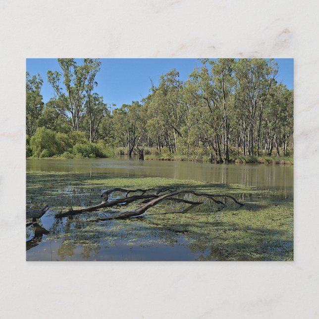 Carte Postale Standard postcard (Devant)