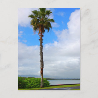 Carte postale "Standing Tall"