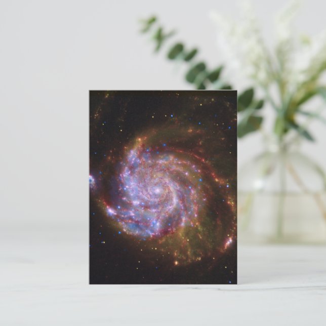 Carte Postale Starbirth in the Pinwheel : Galaxy M101 (Debout devant)