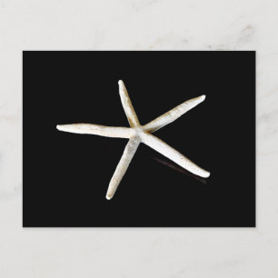 Carte postale Starfish