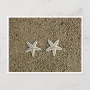 CARTE POSTALE STARFISH