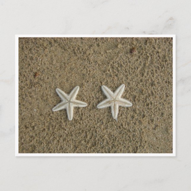 CARTE POSTALE STARFISH (Devant)