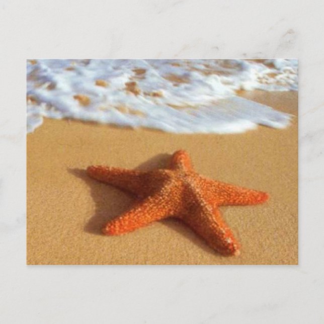 Carte postale Starfish (Devant)