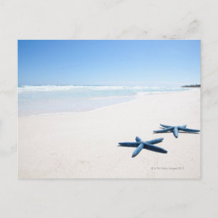 Carte Postale Starfish bleu