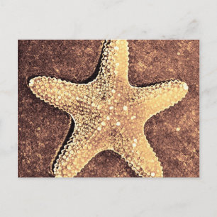 Carte postale Starfish Bronze