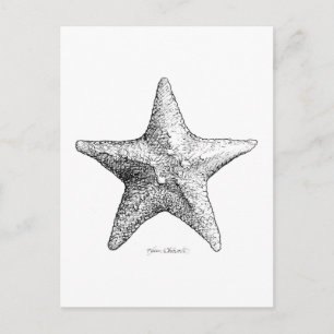 Carte Postale Starfish Dessin Black and White Sea Star Art