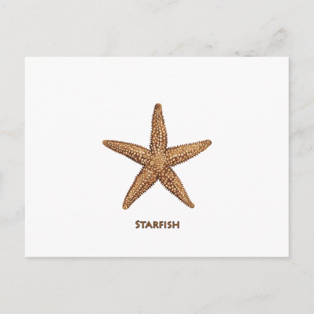 Carte Postale Starfish - Northern Sea Star (Devant)