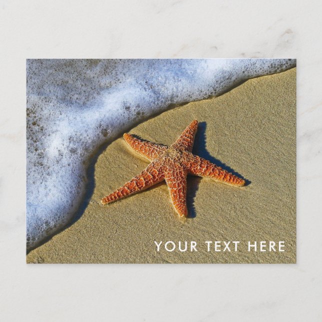 Carte Postale Starfish sur la plage (Devant)