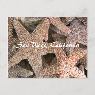 Carte Postale Starfish tout autour, San Diego, Californie