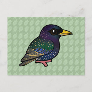 Carte Postale Starling européen Birdorable